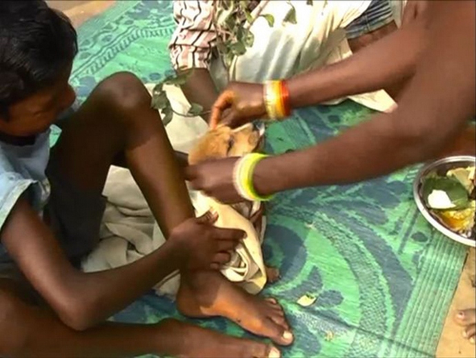 Seitsemän vuotias poika meni naimisiin kulkukoiran kanssa