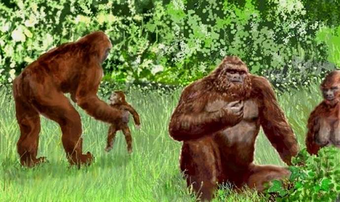 Lumiukkojen perhe putosi kameran linssiin