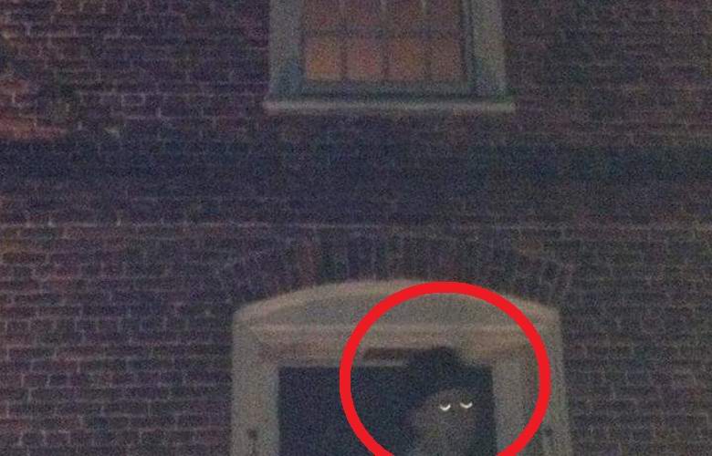 Oudot silmät miehet valokuvattiin