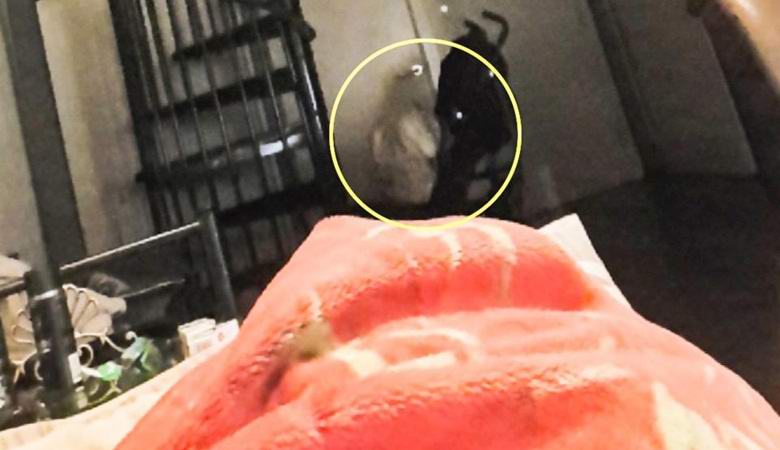 Valokuva on pahaenteinen phantom, joka istuu asunnon lattialla