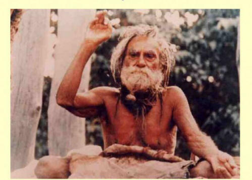 taide, elämä, julkkikset, satavuotisjuhlat, Noa, Peng Zhu, Devraha Baban, Li Lingyuan, Henry Jenkins, Sarah