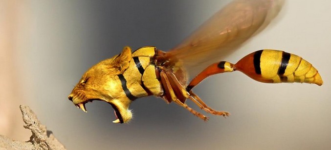 Lahjakkaan taiteilijan vitsejä