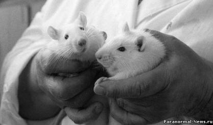 Siperialaiset tutkijat kokeilivat itseään