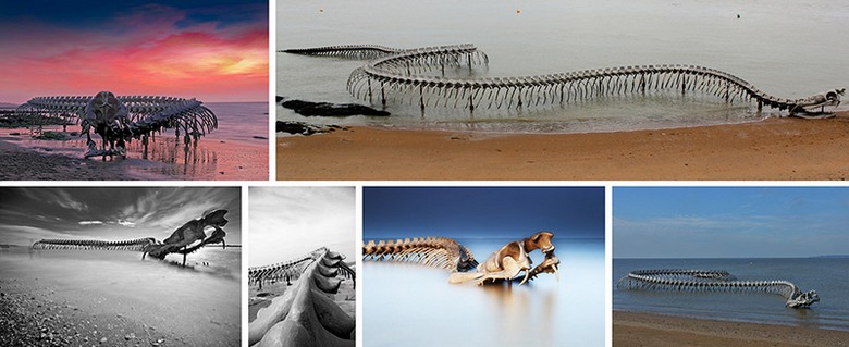 130 metrin käärmeen luuranko