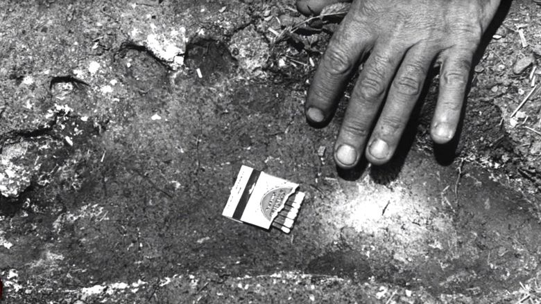 Bigfoot-jalanjäljet ​​osuivat videoon