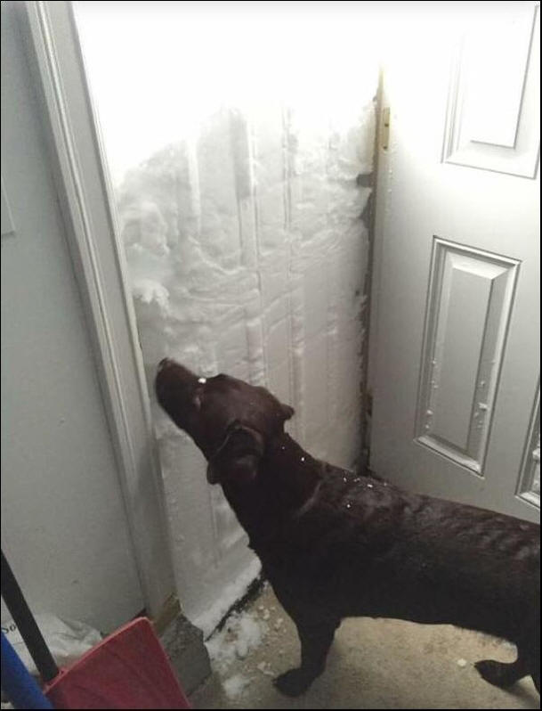 USA: n lumimyrskyn poikkeavuus, myrsky