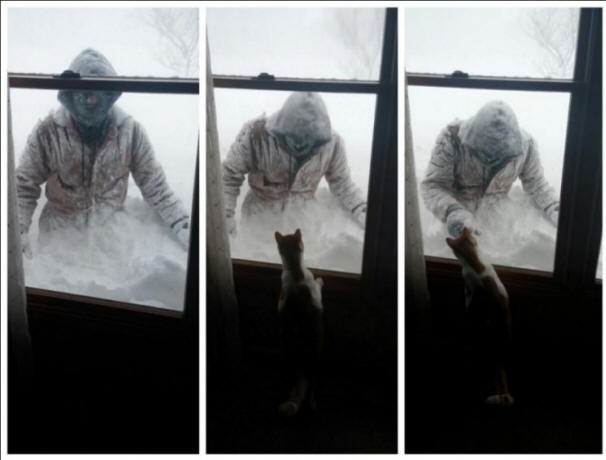 USA: n lumimyrskyn poikkeavuus, myrsky