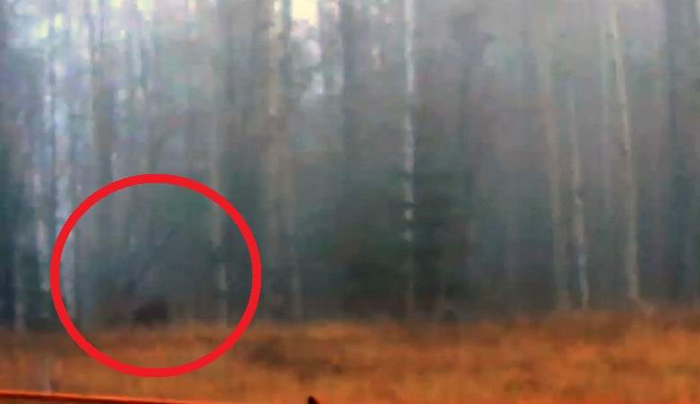 Lumiukko heitti tukin metsään