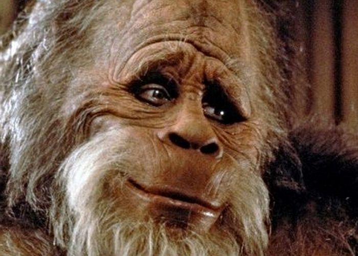 Bigfoot osoittautui raiskaajaksi