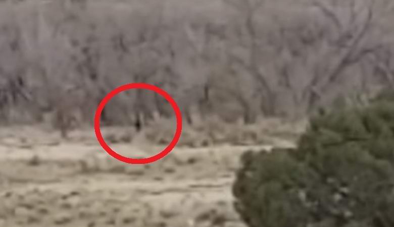 Bigfoot osui videoon Intian varauksessa