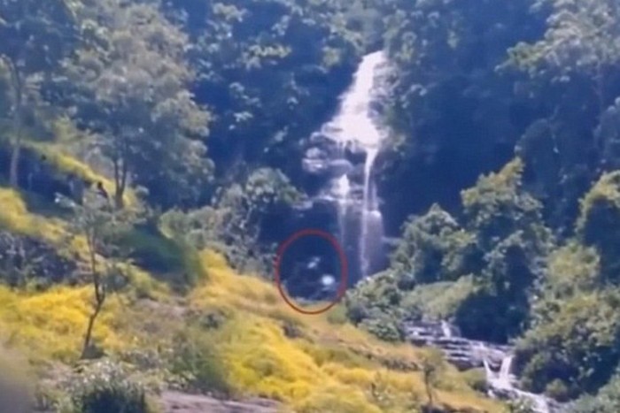 Isojalka Indonesian viidakossa