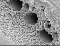 Lasi ei voi rikkoutua pian.