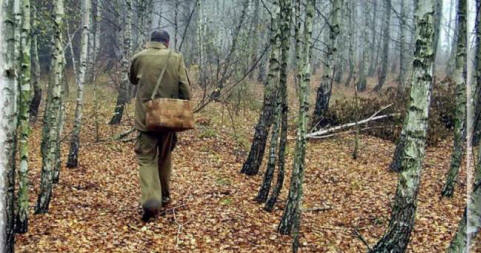 Outo tapaus sienimerkillä