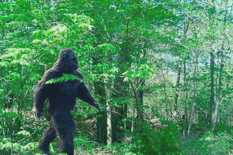 Outo humanoidiolento putosi kameran linssiin