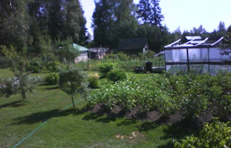 Outo ikkuna varoitti Vologdan naista tulipaloista