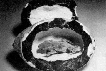 Muiden aikojen olennot