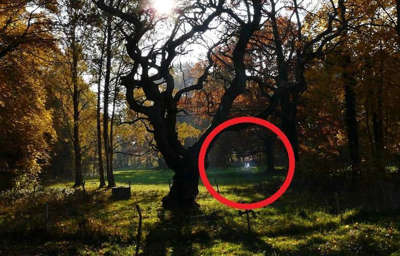 Puistossa leikkivien lasten hehkuvat kummitukset