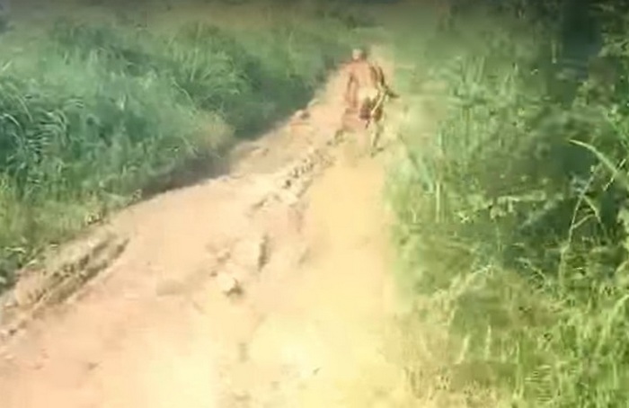 Indonesian salaperäinen villi metsästää pyytämättä pyöräilijöitä