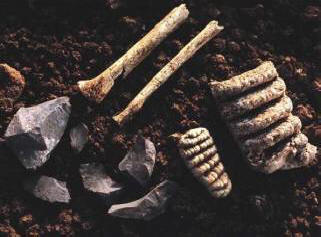 Kadonneen Nittaevon heimon mysteeri