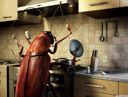 Torakat menevät pois?