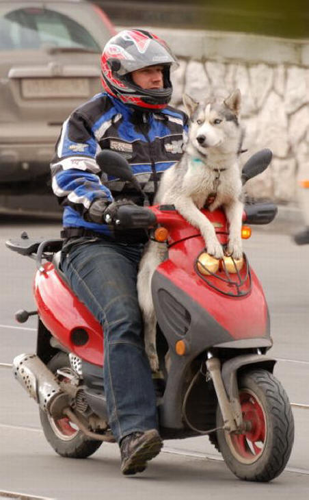 Vain Venäjällä (38 kuvaa)