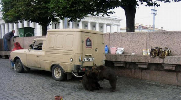 Vain Venäjällä (38 kuvaa)