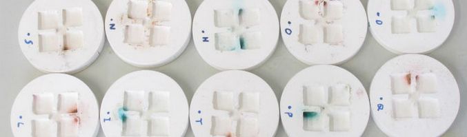 WC: t rakentavat ... muurahaisia