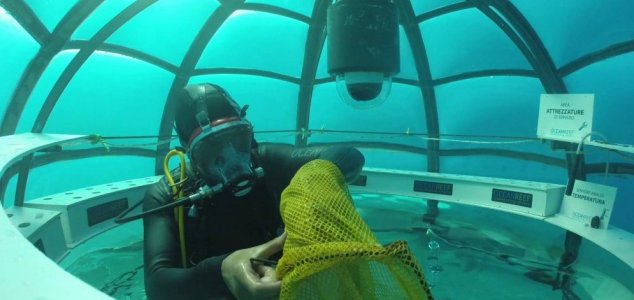 Tutkijat kasvattavat ihmisille syötäviä kasveja veden alla