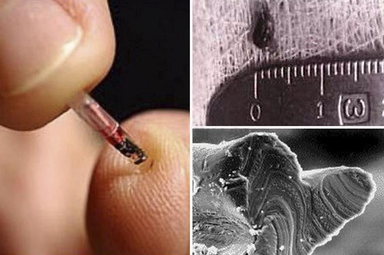 Tutkijat ovat todistaneet, että ulkomaalaiset sieppaavat ja pilaavat ihmisiä