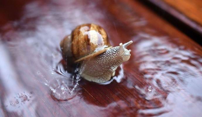 Tutkijat ovat löytäneet