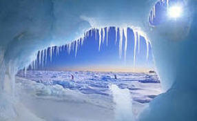 Tutkijat ovat löytäneet elämän Etelämantereen jäällä. Video