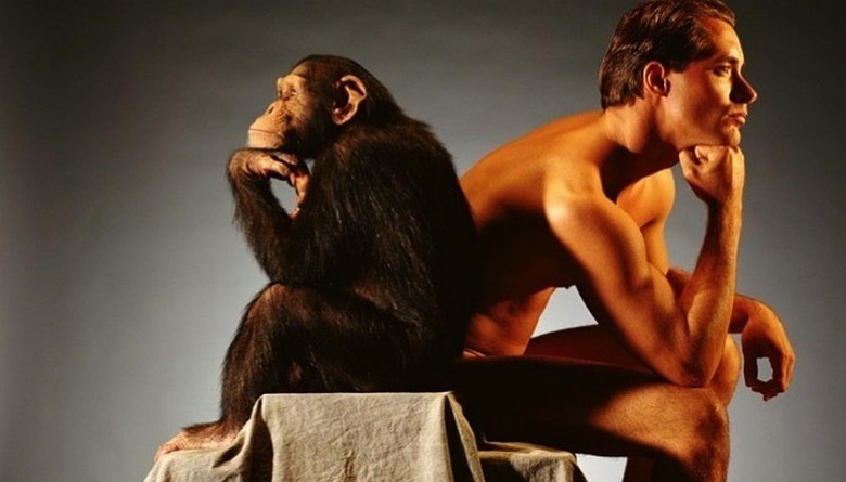 Tutkijat ovat selvittäneet, mikä sai apinan mieheksi