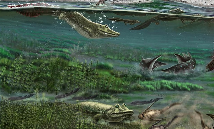 Tutkijat ovat kiistäneet aikaisemman evoluutiokäsityksen