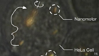 Tutkijat ovat kyenneet hallitsemaan nanomoottorit elävän solun sisällä