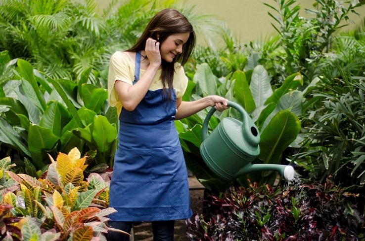 Tutkijat ovat kuulleet