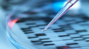 Tutkijat ovat kasvattaneet ihmisen vatsan laboratoriossa