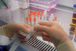 Tutkijat ovat onnistuneet muuttamaan tavalliset solut kantasoluiksi