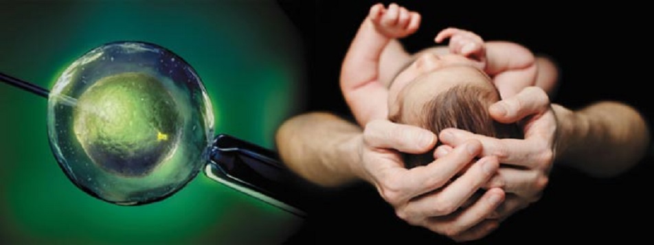 Tutkijat ovat löytäneet tavan valita lapsen sukupuoli keinosiemennyksellä