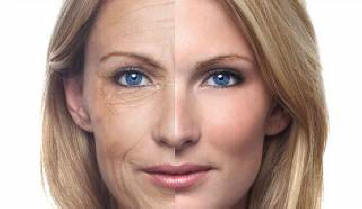 Tutkijat onnistuivat kääntämään ikääntymisprosessin