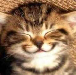 Uskomattomia tosiasioita, jotka saavat sinut hymyilemään.