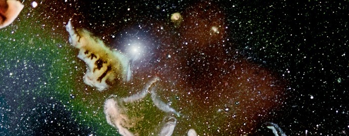 Uskomattomia valokuvia: mikrokosmos linssissä