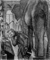 Taitava miehet näkevät kärpäsen, mutta kaipaavat norsua