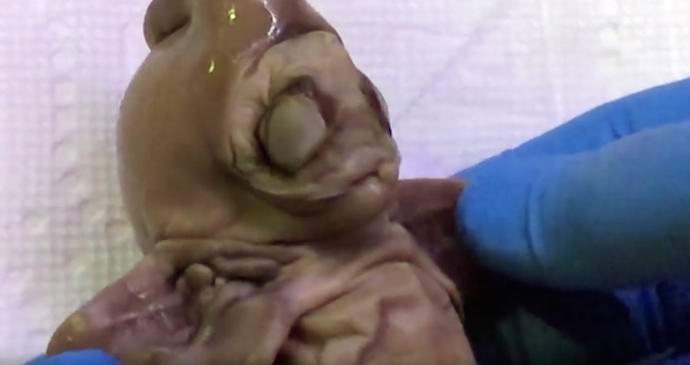 Löysin Arizonasta ruumiin, joka on tuntematon tieteelle