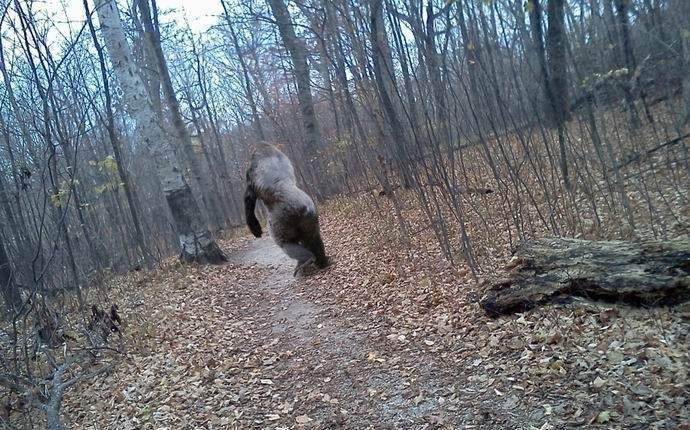 Lumiukko kuvattiin Australiassa