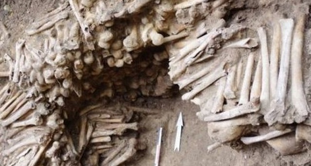 Belgiassa löydetty katedraali