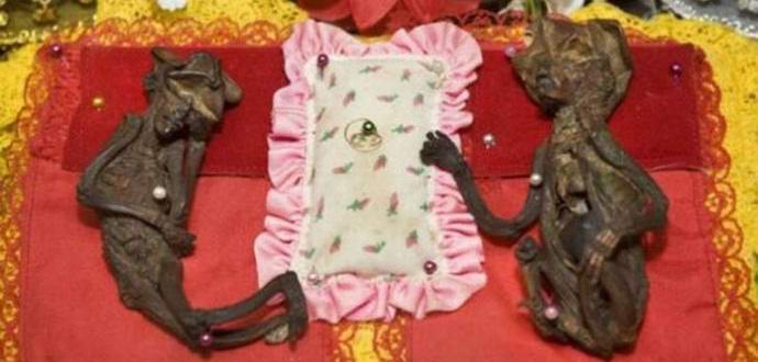 Mumifioituja keijuja pidetään buddhalaisessa temppelissä