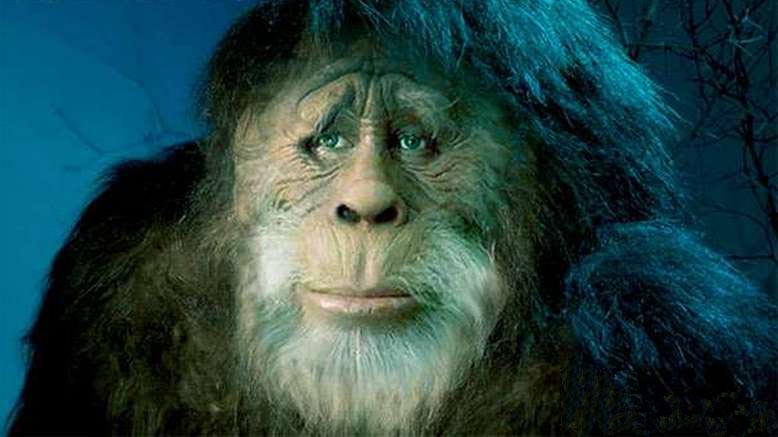 Tšeljabinskin alueella keksittiin uusi matkailijoiden vetovoima: ruokkia vielä