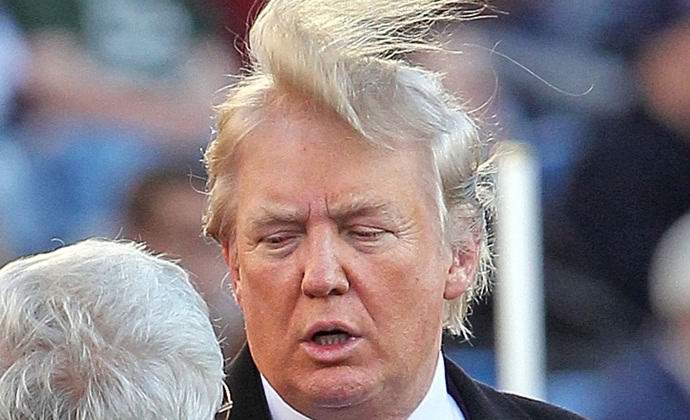 Hänen kaltainen koi on nimetty Donald Trumpin mukaan.