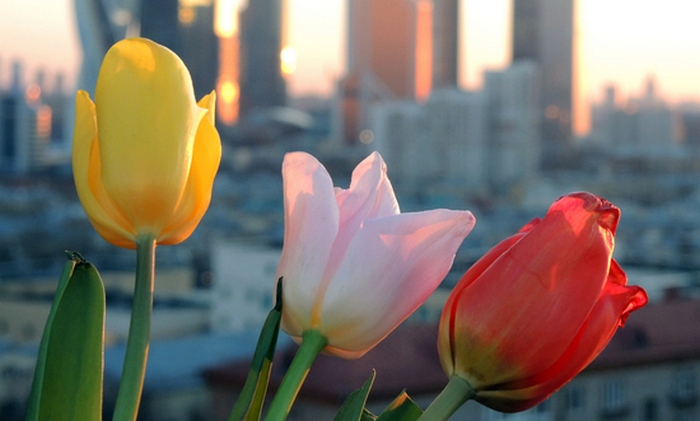 8. maaliskuuta - mielenkiintoisia faktoja naisista!