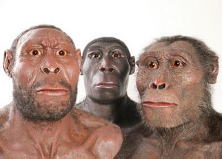 Etiopiassa löydettiin ihmiskunnan vanhemmat kivihihnat